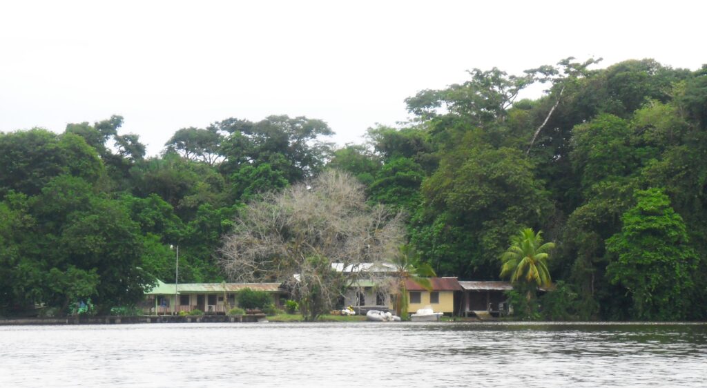 Tortuguero Tortuguero