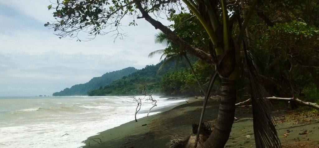 Parque Nacional de Corcovado. Parque Nacional de Corcovado.